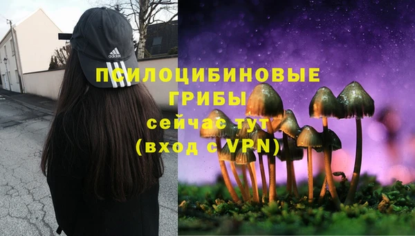 твердый Абдулино