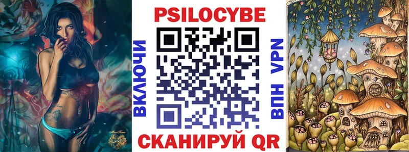 Галлюциногенные грибы Psilocybine cubensis  Сергач 